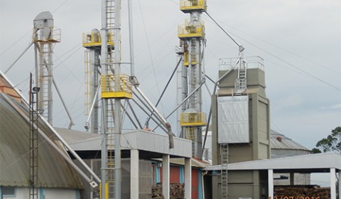 [Galeria Cooperalfa Felipe Schmidt]