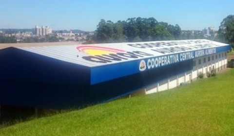 [Galeria Aurora Central de Palets]