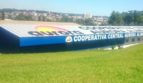 [Galeria Aurora Central de Palets]