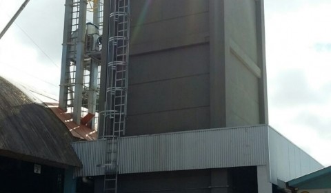 [Galeria Cooperalfa Porto União]