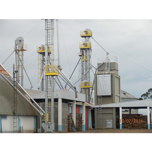 Descrição da Imagem