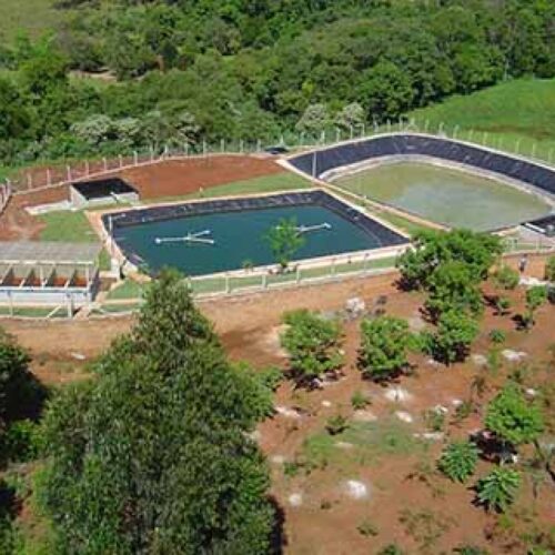 Descrição da Imagem