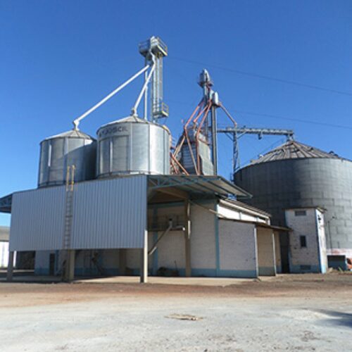 Descrição da Imagem