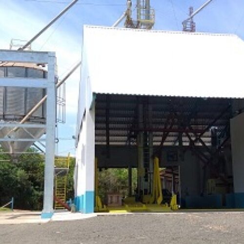 Descrição da Imagem