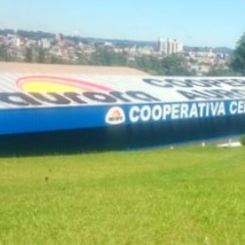 Descrição da Imagem