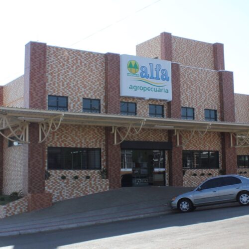 Descrição da Imagem