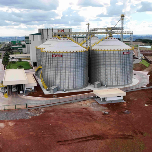 Descrição da Imagem