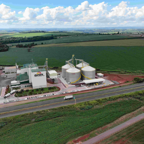 Descrição da Imagem