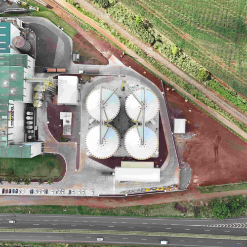 Descrição da Imagem