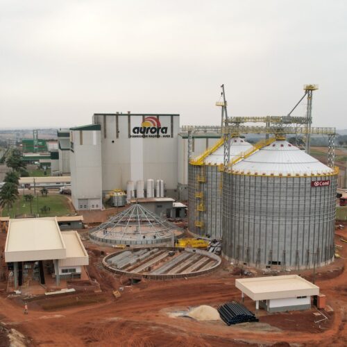 Descrição da Imagem