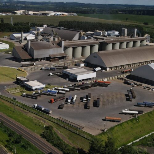 Descrição da Imagem