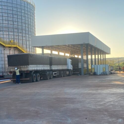 Descrição da Imagem