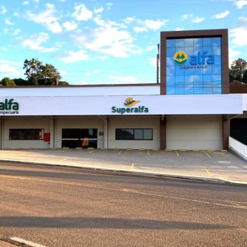 Descrição da Imagem