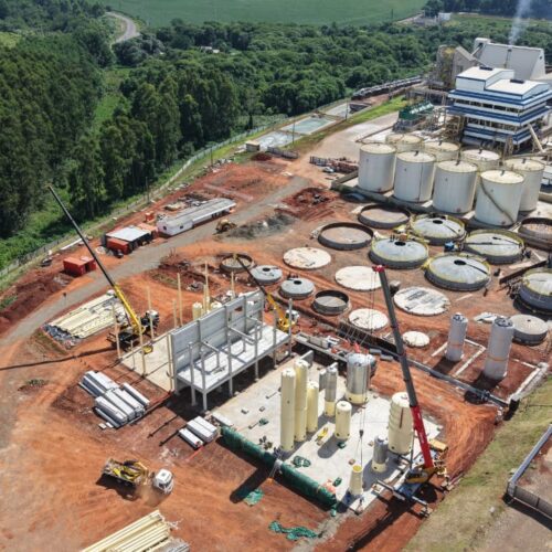 Descrição da Imagem